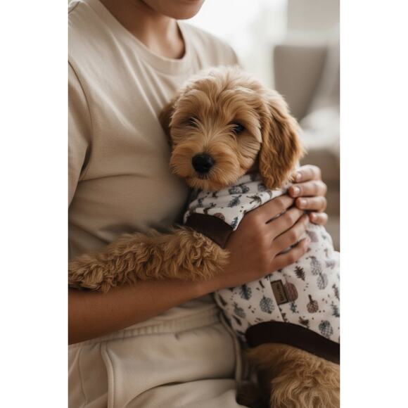 Koolaburra Other - Koolaburra Dog Shirt - Tree theme, size medium new/tags